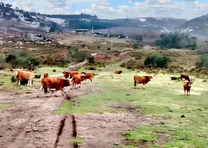 Charming House In With Terrace And Parking *