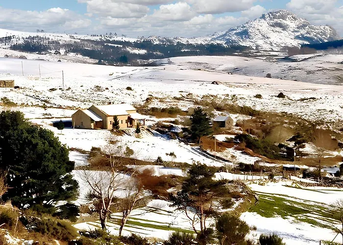 Сasa de vacaciones Charming House In With Terrace And Parking Riba de Mouro